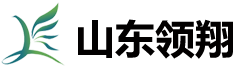 山東領翔新材料有限公司